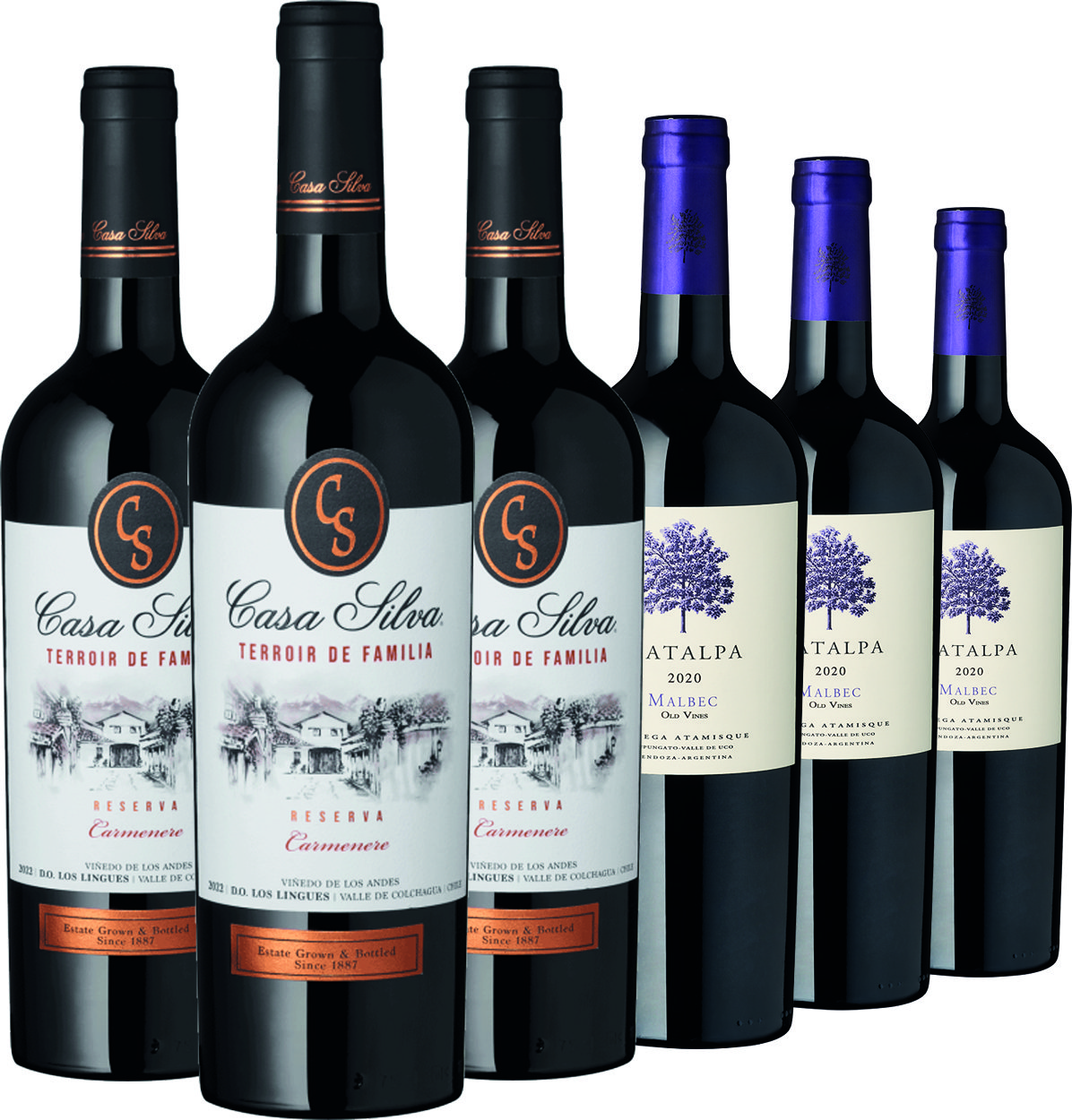 Weinpaket 6er Set - Malbec vs Carmenere