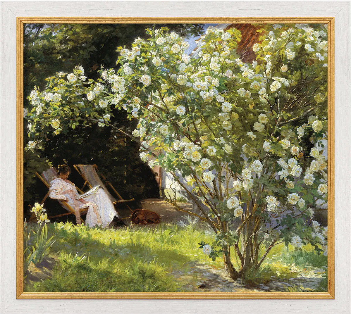 Bild Rosen (1893) - Peder Severin Kroyer