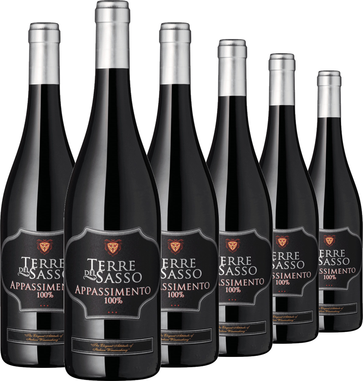 Weinpaket 6er Set - Terre del Sasso