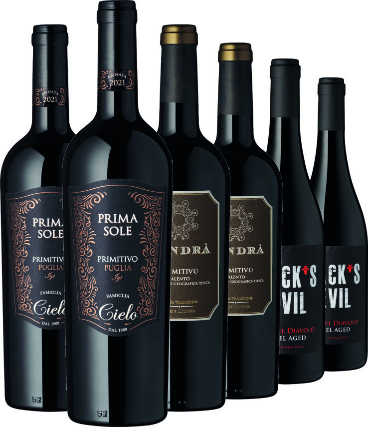 Weinpaket Rotwein 6er Set – Piazza Primitivo