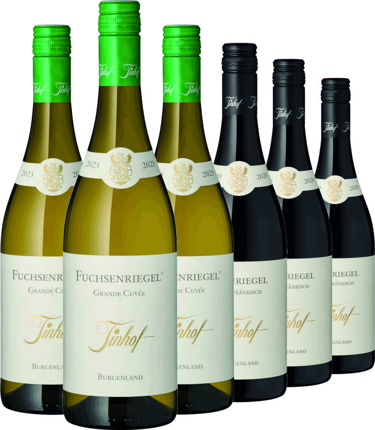 Weinpaket Rotwein Weißwein 6er Set - Tinhoff
