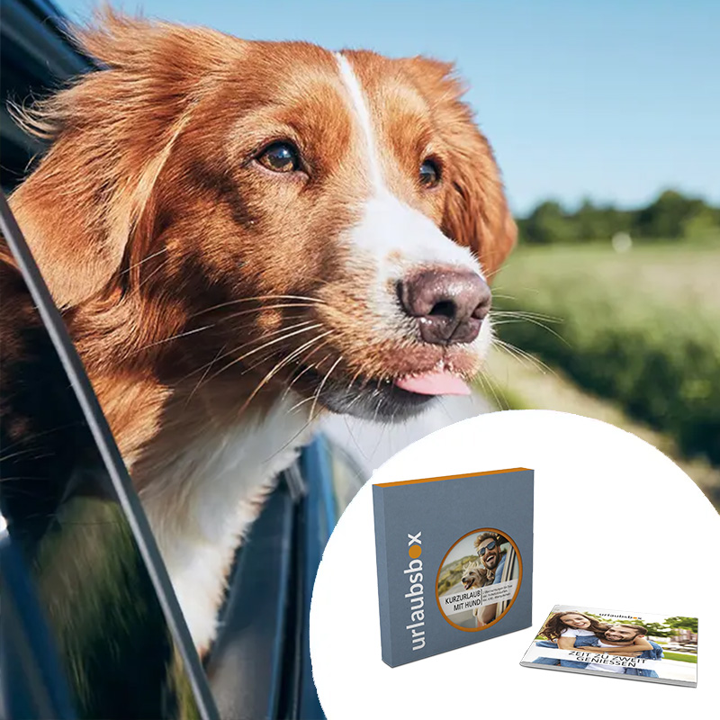 Urlaubsbox - Kurzurlaub mit Hund