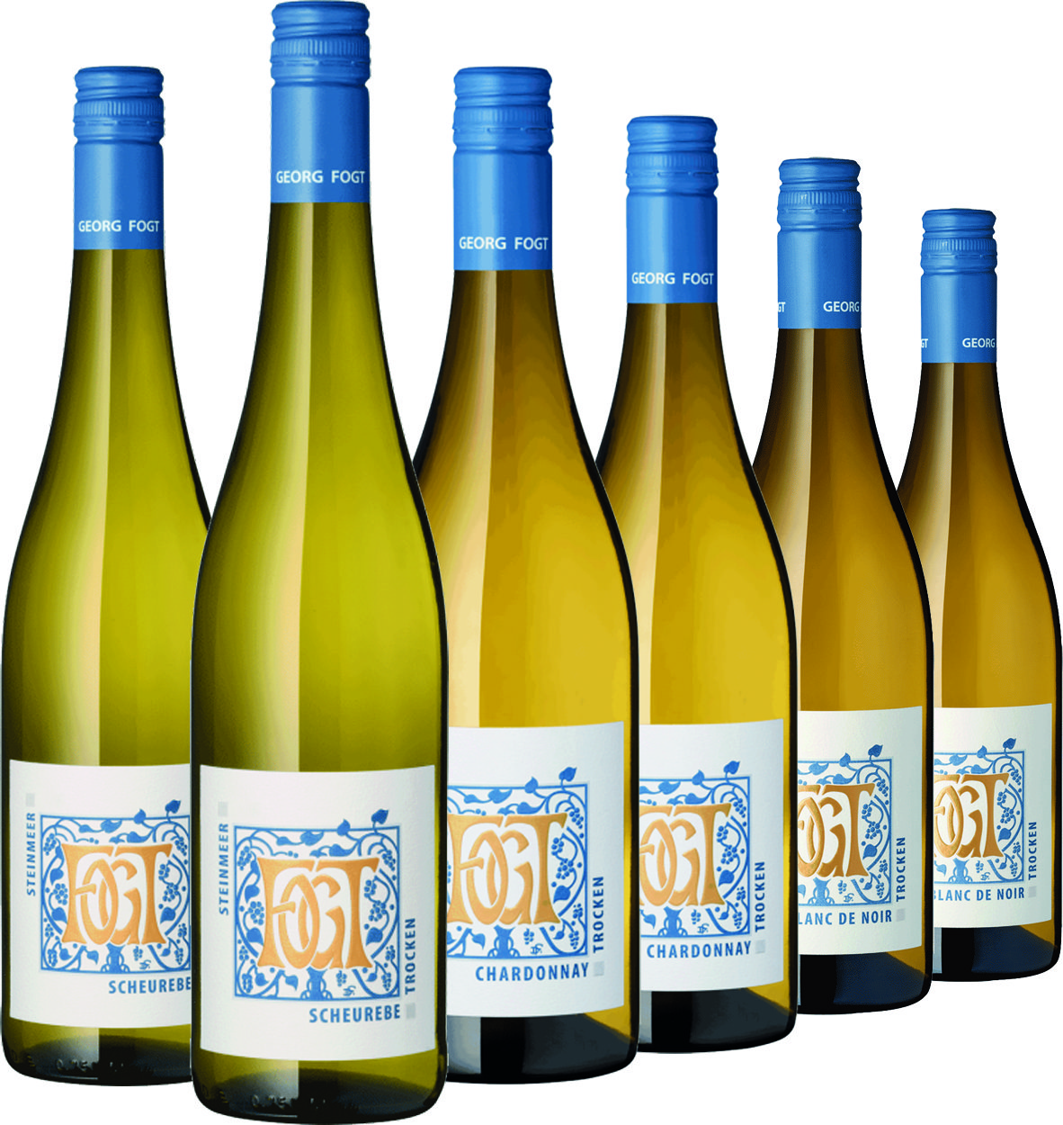 Weinpaket 6er Set - Neuer Jahrgang 2024
